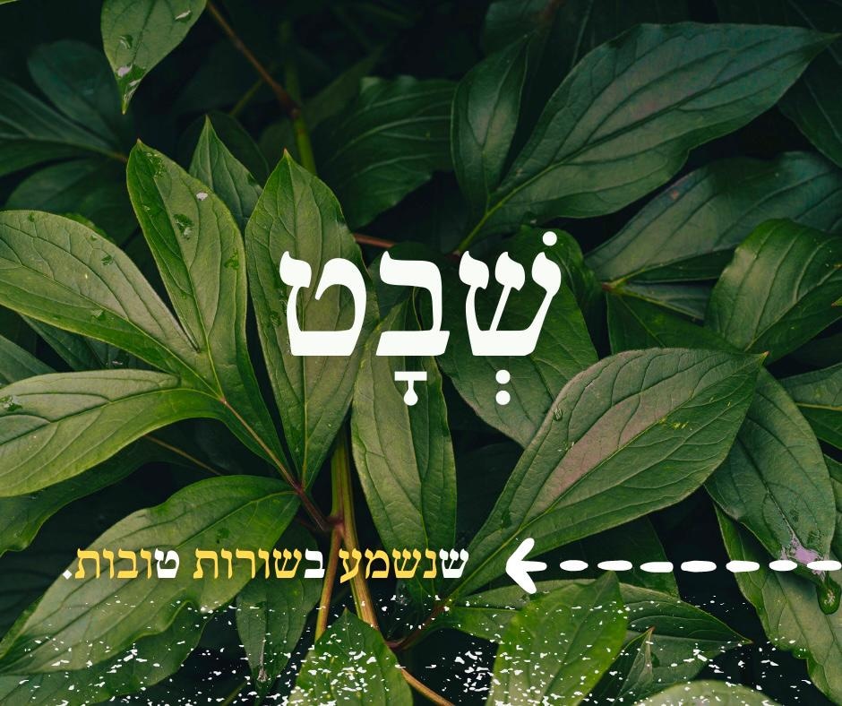Chodesh Tov! (Have a good month) ⋆ Sivan RahavMeir
