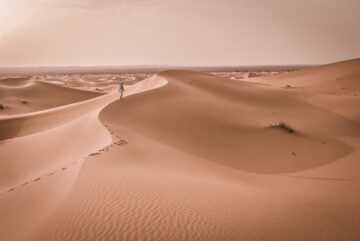 מסע במדבר