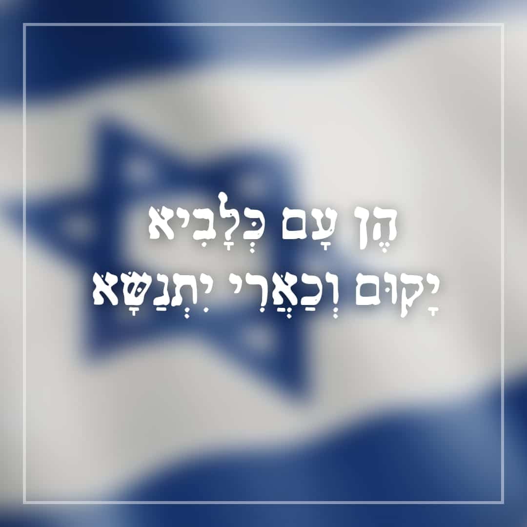 הן עם כלביא יקום וכארי יתנשא ⋆ סיון רהב-מאיר