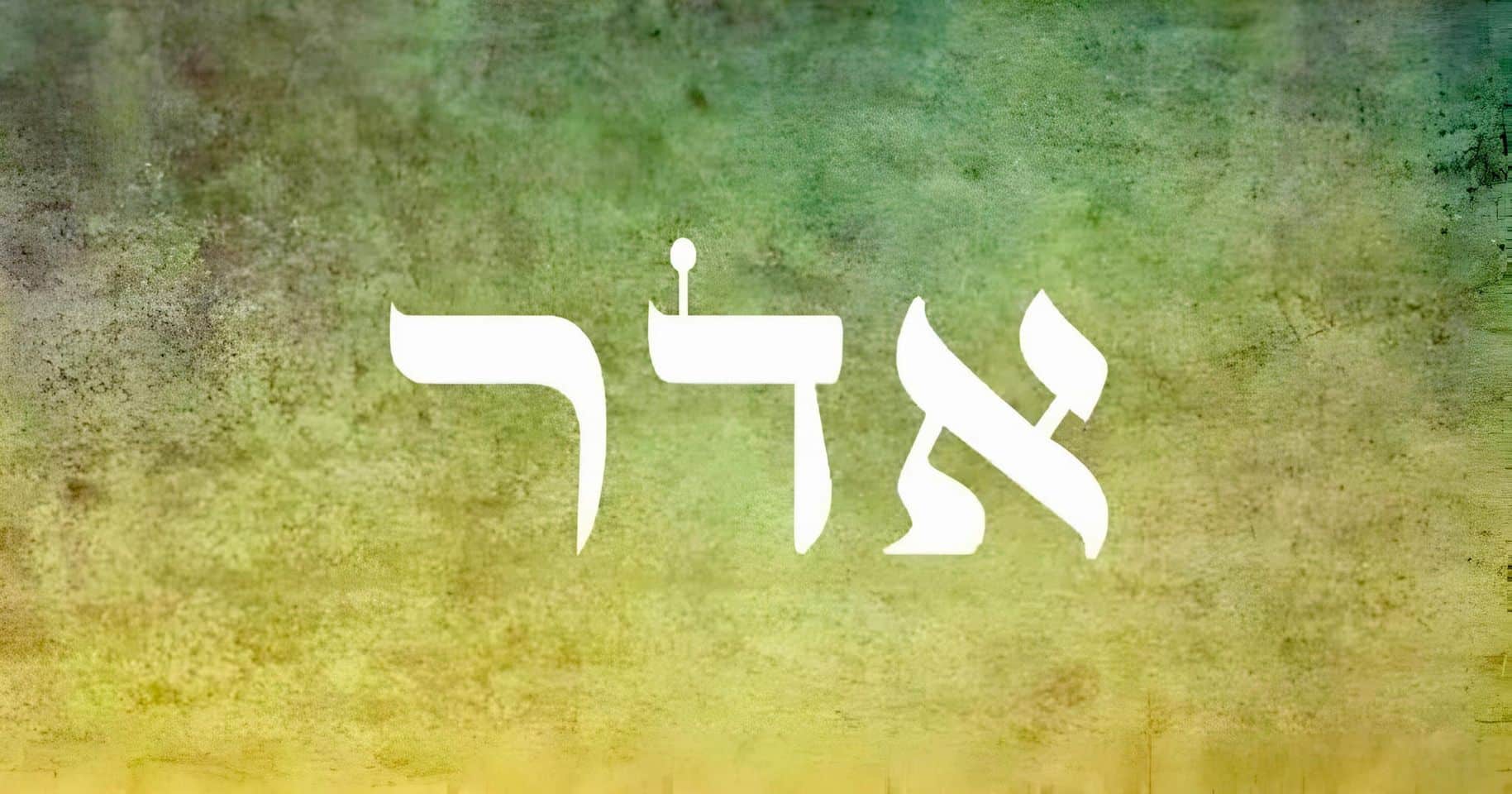 5 דברים לראש חודש אדר ⋆ סיון רהב-מאיר